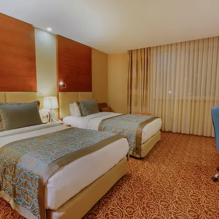 New Park Hotel-3