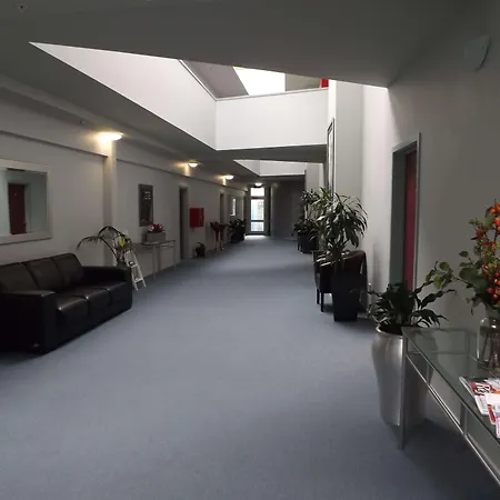 Best Western Wellington-3