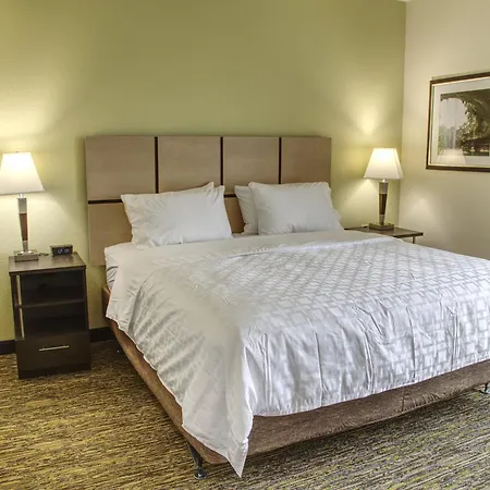 Candlewood Suites - Austin North By Ihg-3