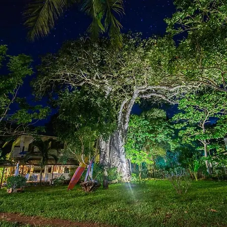 Mami Wata House-2