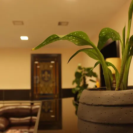Hotel Lilia Yerevan-3