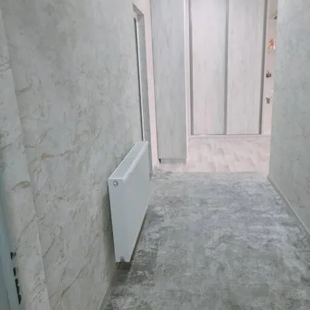 Central Apartment 100-3
