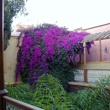 Riyad Al Moussika-2