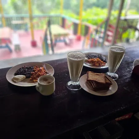 Caribbean Paradise Hotel-3