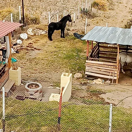 Glamping Con Jacuzzi En Latacunga-3