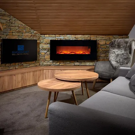 Wellness Hotel Svornost-3
