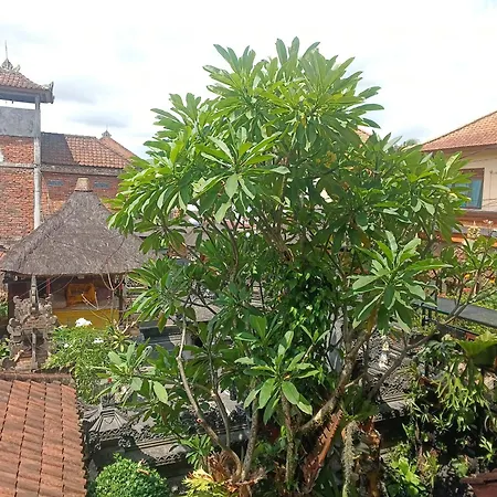 Arjuna Homestay Ubud-2