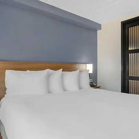 The Iah Houston Hotel-3