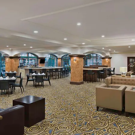 Doubletree By Hilton San Pedro-2