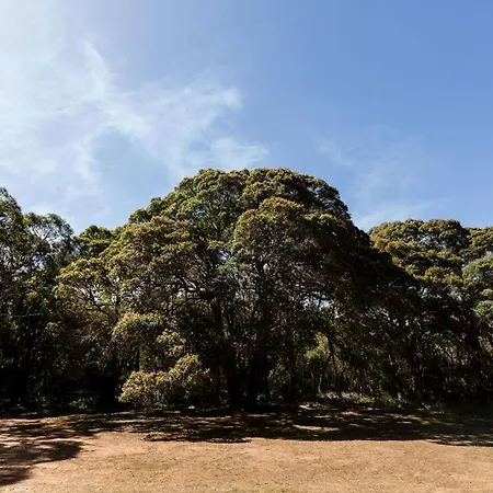 Turner Brook-2