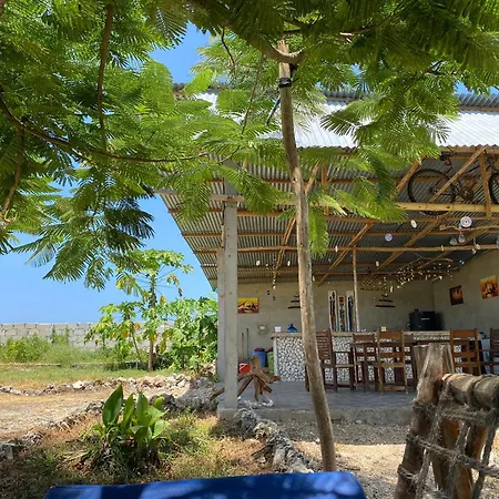 Habibis Bottle House-3
