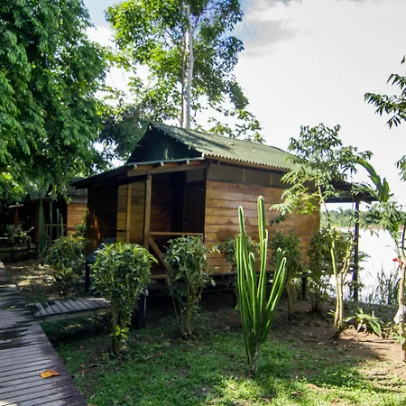 Amazon Planet-3