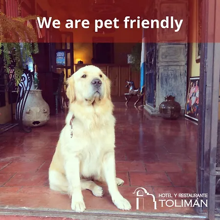 Hotel Toliman-2