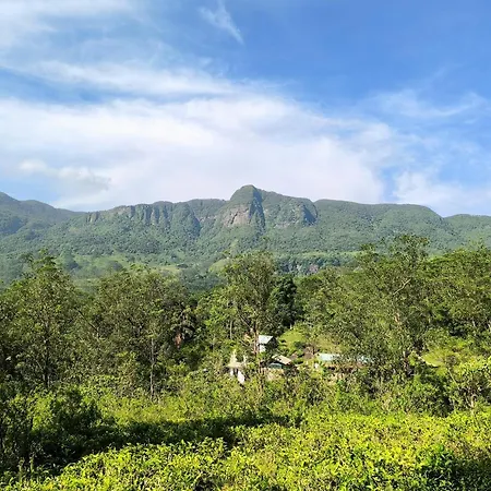 Villa 95 Rangala-3
