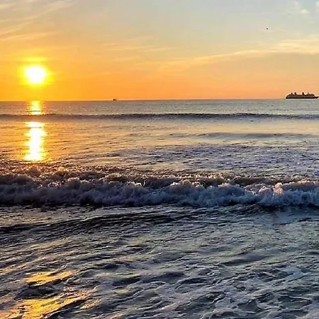 Patio Condo Direct Ocean - Sleeps 6 Guests 101-3
