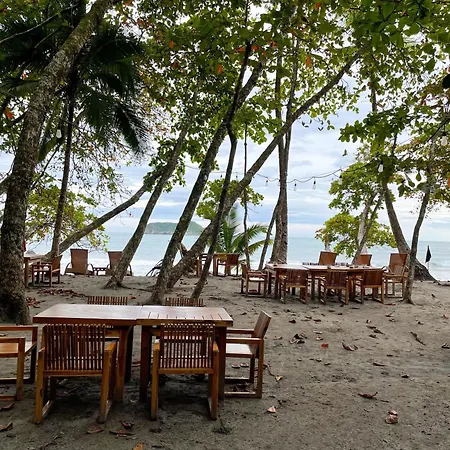 Arenas Del Mar Beachfront & Rainforest Resort Member Of The Cayuga Collection-3
