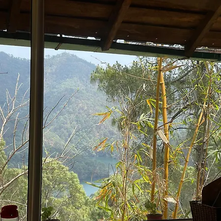 Heal Farm - Himalayan Eco Alternative Lifestyle For Agriculture Recreation And Meditation-3