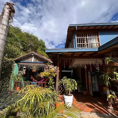 Yolo Hostel Medellin-3