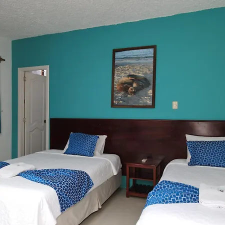 Hotel La Gran Tortuga - ᯤ Starlink-3