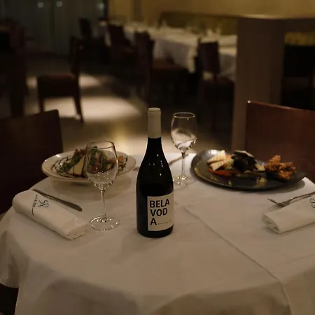 Hotel Stara Planina-2