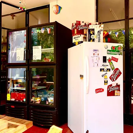 Leveli Coliving & Hostel Guadalajara-2