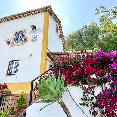 Artisan'S Guest House-3