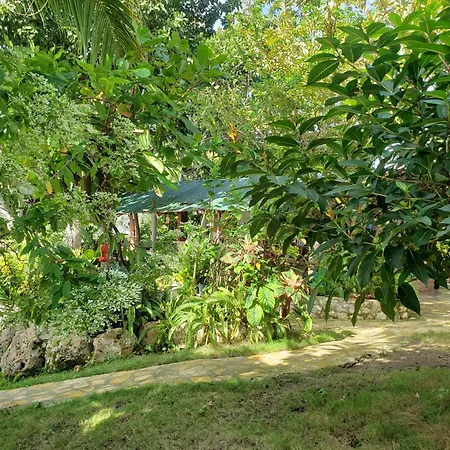 Zapote Tree Inn-2