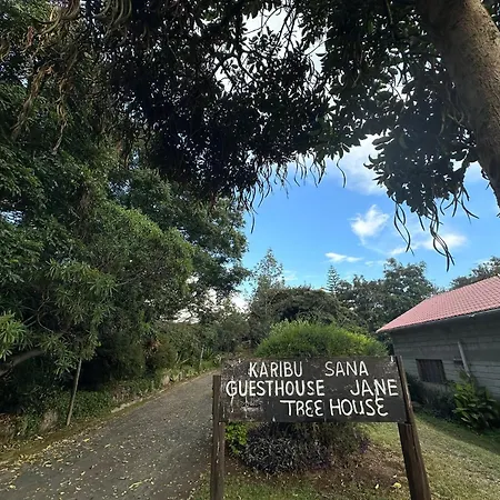 Guesthousejane Villa & Apartments-3