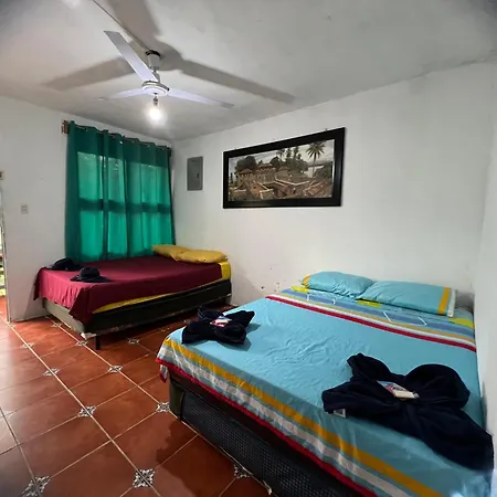 Caribbean Paradise Hotel-2