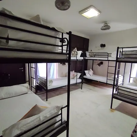 A Sleepy Fox Hostel-3