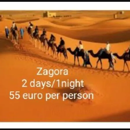 Riad Tifor-3