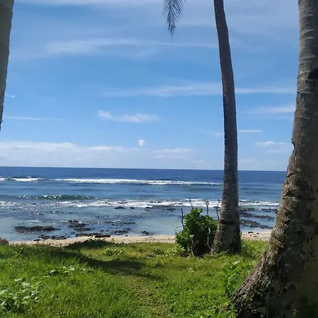 Tarzan'S House-3