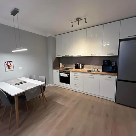 Boston Cozy Elegant Family Apt W Parking Near Nsa-3
