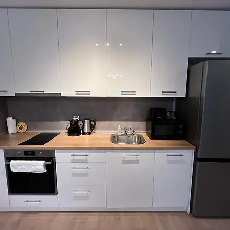 Boston Cozy Elegant Family Apt W Parking Near Nsa-2