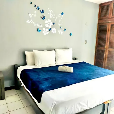 Hotel Pal Cozumel-3