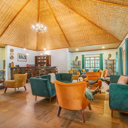Gorilla Leisure Lodge-3