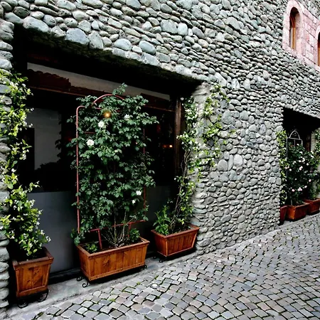 Hotel Carshia E Jupave-3