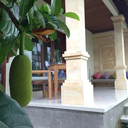Masia Villa Ubud-2
