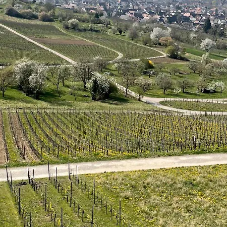 Landgasthof Rebstock Weil Am Rhein / Basel-3