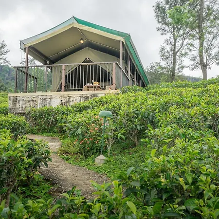 Madulkelle Tea And Eco Lodge-3