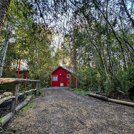 Molco Cabins Bosque-3