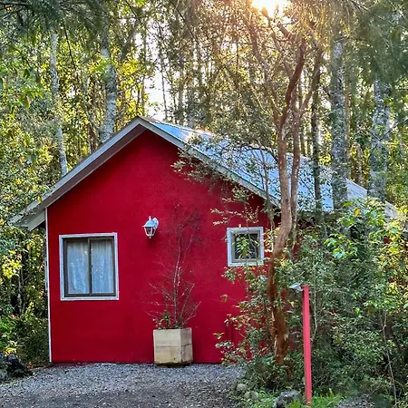 Molco Cabins Bosque-2