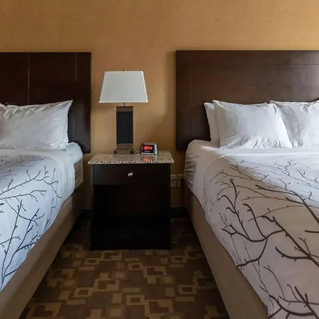 Best Western Plus South Edmonton Inn & Suites-3