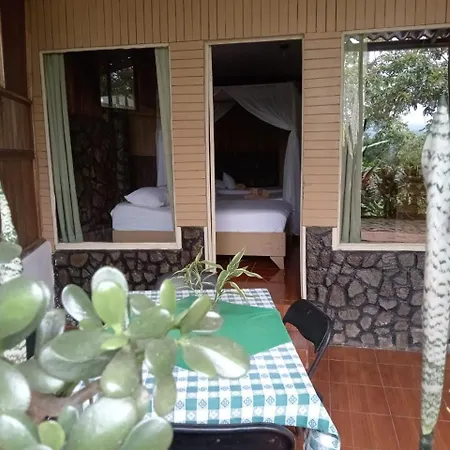 Hotel Green Mountain Turrialba-3