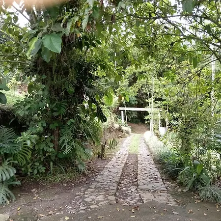 Hotel Green Mountain Turrialba-2