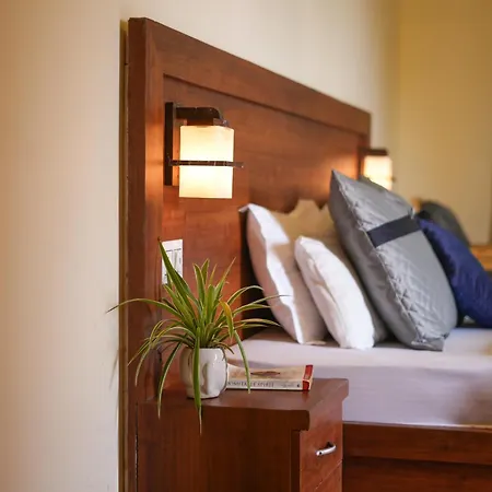Shalom Backpackers Rishikesh-2