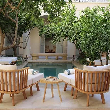 Riad Emberiza Sahari-3