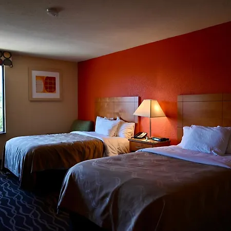 Quality Inn & Suites I-35 Near Frost Bank Center-3