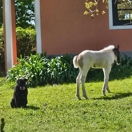 La Monturera, Loft De Campo-3
