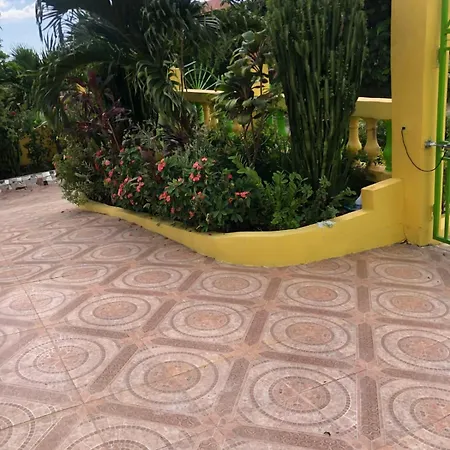 Leo Villa-2